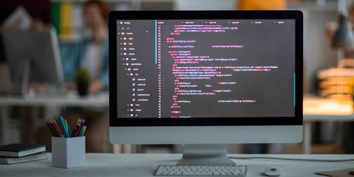 Website Development
